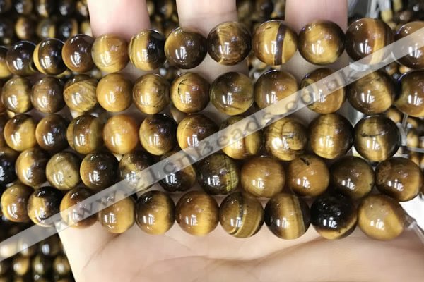 CTE2149 15.5 inches 10mm round yellow tiger eye beads wholesale