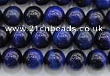 CTE416 15.5 inches 8mm round blue tiger eye beads wholesale