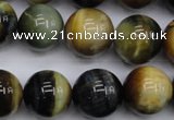 CTE557 15.5 inches 18mm round golden & blue tiger eye beads