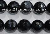 CTE925 15.5 inches 14mm faceted round silver tiger eye beads