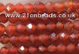 CTG1004 15.5 inches 2mm faceted round tiny red agate beads