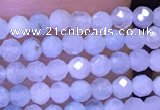 CTG1043 15.5 inches 2mm faceted round tiny aquamarine beads