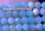 CTG1050 15.5 inches 2mm faceted round tiny amazonite beads