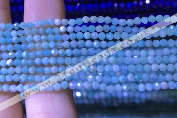 CTG1050 15.5 inches 2mm faceted round tiny amazonite beads