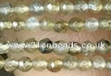 CTG1077 15.5 inches 2mm faceted round tiny labradorite beads