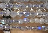 CTG1078 15.5 inches 2mm faceted round tiny labradorite beads