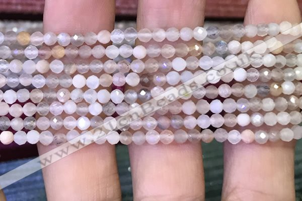 CTG1132 15.5 inches 3mm faceted round tiny rainbow moonstone beads