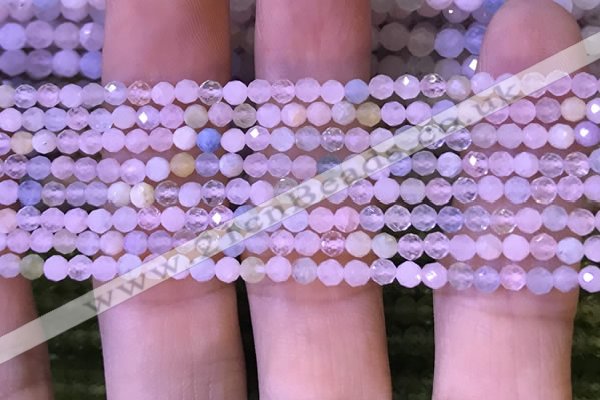 CTG1134 15.5 inches 3mm faceted round tiny morganite beads