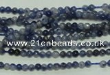 CTG115 15.5 inches 2mm round tiny sodalite gemstone beads wholesale