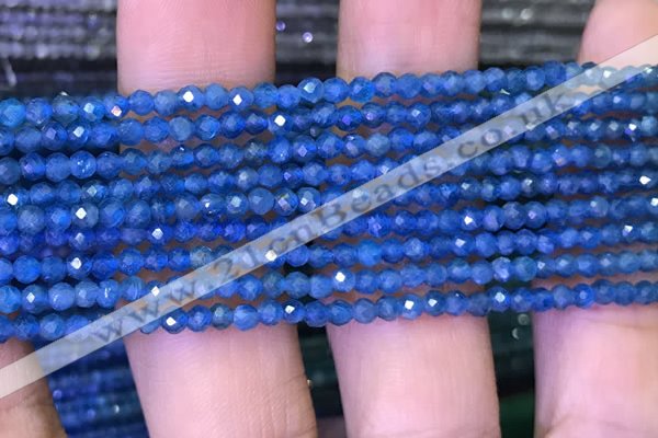 CTG1195 15.5 inches 3mm faceted round tiny apatite gemstone beads