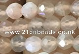 CTG1207 15.5 inches 4mm faceted round tiny rainbow moonstone beads