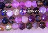 CTG1326 15.5 inches 2mm faceted round tourmaline beads wholesale