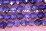 CTG1330 15.5 inches 3mm faceted round iolite beads wholesale