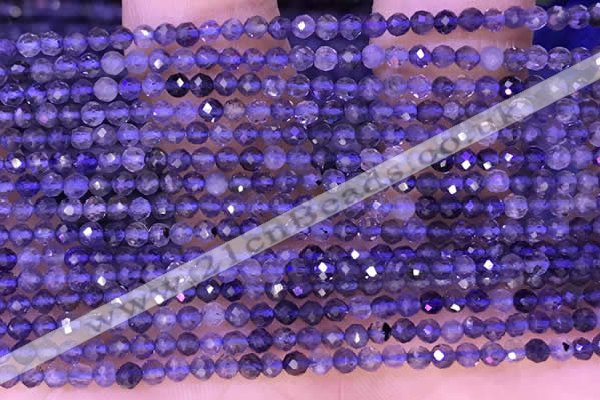 CTG1330 15.5 inches 3mm faceted round iolite beads wholesale