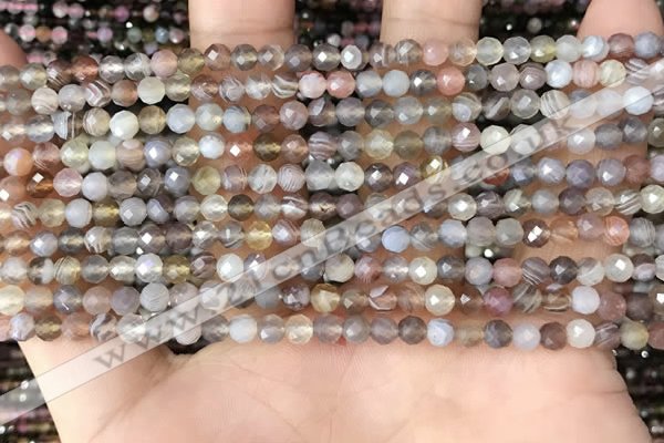 CTG1354 15.5 inches 4mm faceted round Botswana agate beads