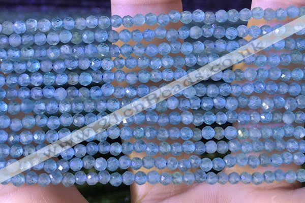 CTG1380 15.5 inches 2mm faceted round tiny apatite beads