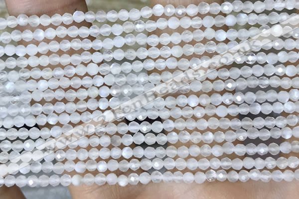 CTG1401 15.5 inches 2mm faceted round white moonstone beads wholesale