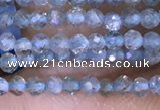 CTG1416 15.5 inches 2mm faceted round apatite beads wholesale