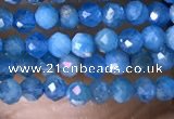 CTG1418 15.5 inches 2mm faceted round apatite beads wholesale