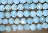 CTG1421 15.5 inches 2mm faceted round larimar beads wholesale