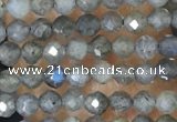 CTG1459 15.5 inches 2mm faceted round labradorite beads wholesale