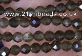 CTG1461 15.5 inches 2mm faceted round golden obsidian beads