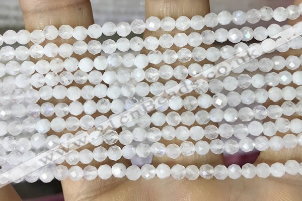 CTG1481 15.5 inches 3mm faceted round white moonstone beads