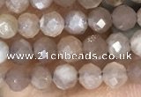 CTG1503 15.5 inches 3mm faceted round moonstone gemstone beads