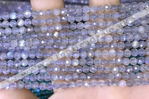 CTG1508 15.5 inches 3mm faceted round labradorite beads wholesale