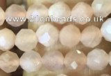 CTG1544 15.5 inches 4mm faceted round moonstone beads wholesale