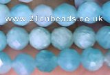 CTG1610 15.5 inches 5mm faceted round tiny amazonite beads