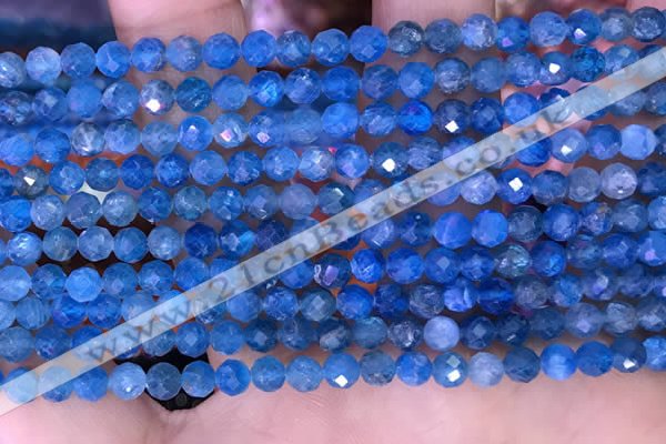 CTG1615 15.5 inches 4mm faceted round tiny apatite beads