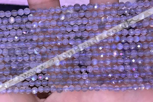 CTG1622 15.5 inches 3mm faceted round tiny labradorite beads