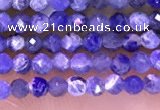 CTG1665 15.5 inches 2mm faceted round tiny sodalite beads