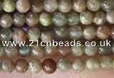 CTG2045 15 inches 2mm,3mm China unakite beads