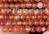 CTG2056 15 inches 2mm,3mm red agate gemstone beads