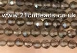 CTG2124 15 inches 2mm,3mm faceted round smoky quartz gemstone beads