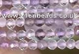 CTG2127 15 inches 2mm,3mm faceted round purple fluorite gemstone beads