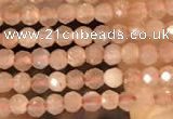 CTG2138 15 inches 2mm,3mm faceted round sunstone gemstone beads