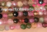 CTG2140 15 inches 2mm,3mm & 4mm faceted round natural tourmaline beads