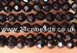 CTG2144 15 inches 2mm,3mm faceted round black spinel beads