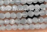 CTG2145 15 inches 2mm,3mm faceted round aquamarine gemstone beads