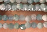 CTG2154 15 inches 2mm,3mm faceted round amazonite gemstone beads