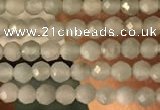 CTG2155 15 inches 2mm,3mm faceted round amazonite gemstone beads