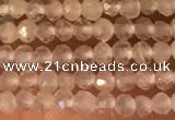 CTG2156 15 inches 2mm,3mm faceted round white moonstone beads