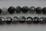 CTG216 15.5 inches 3mm faceted round tiny eagle eye jasper beads