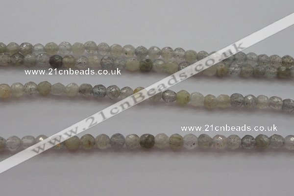 CTG217 15.5 inches 3mm faceted round tiny labradorite beads