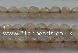 CTG218 15.5 inches 3mm faceted round tiny moonstone beads