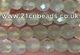 CTG2205 15 inches 2mm,3mm faceted round prehnite gemstone beads