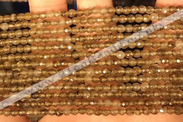 CTG2208 15 inches 2mm,3mm faceted round labradorite gemstone beads